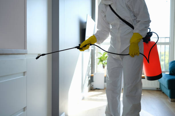 Water Damage Restoration in Ludowici, GA