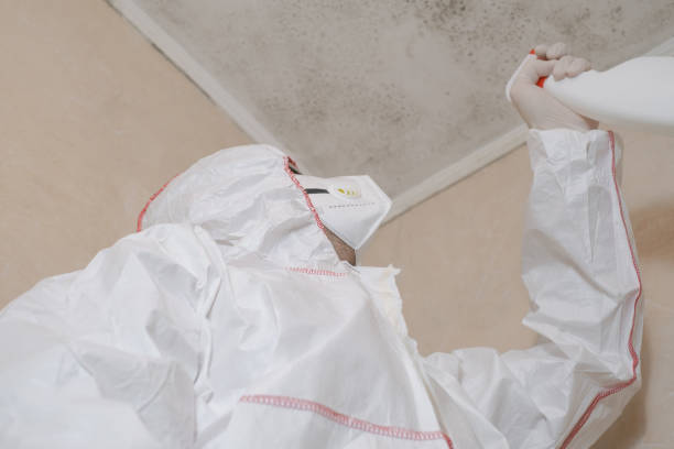 Best Residential Mold Removal  in Ludowici, GA