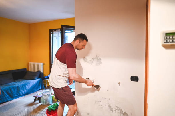 Mold Removal Process in Ludowici, GA
